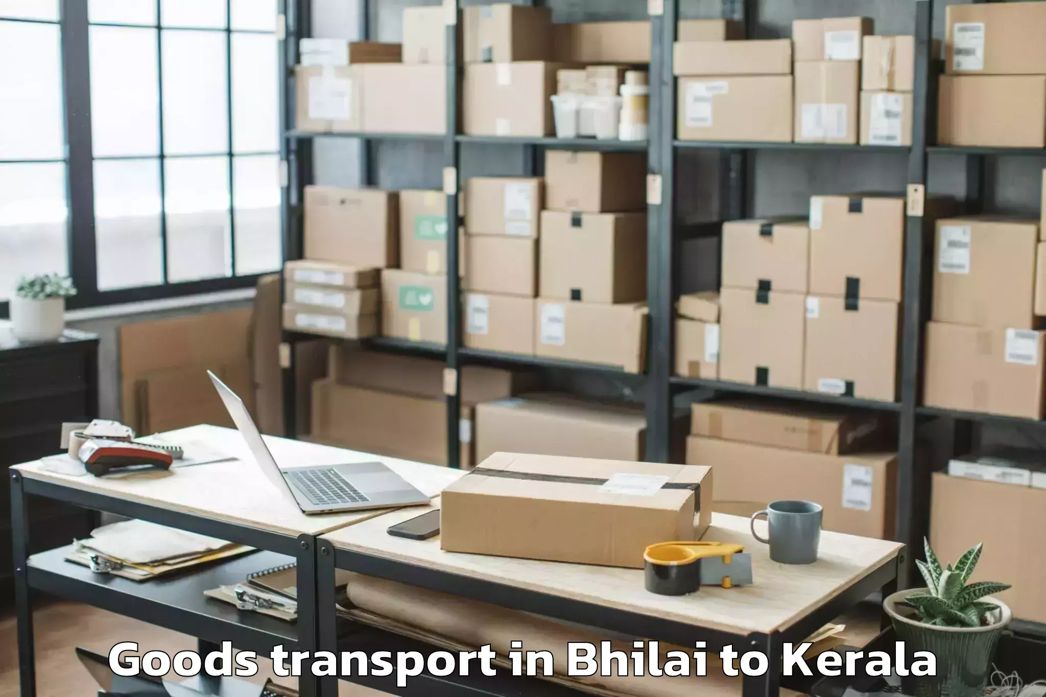 Book Your Bhilai to Panthalam Goods Transport Today